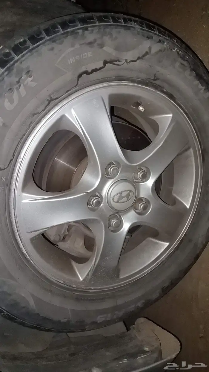 جنوط النترا للبيع 3