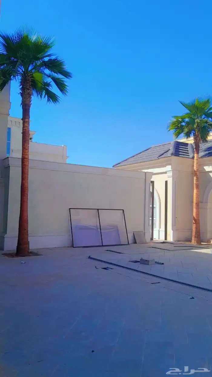 نخيل وشنطنيا امربكي زينه 4