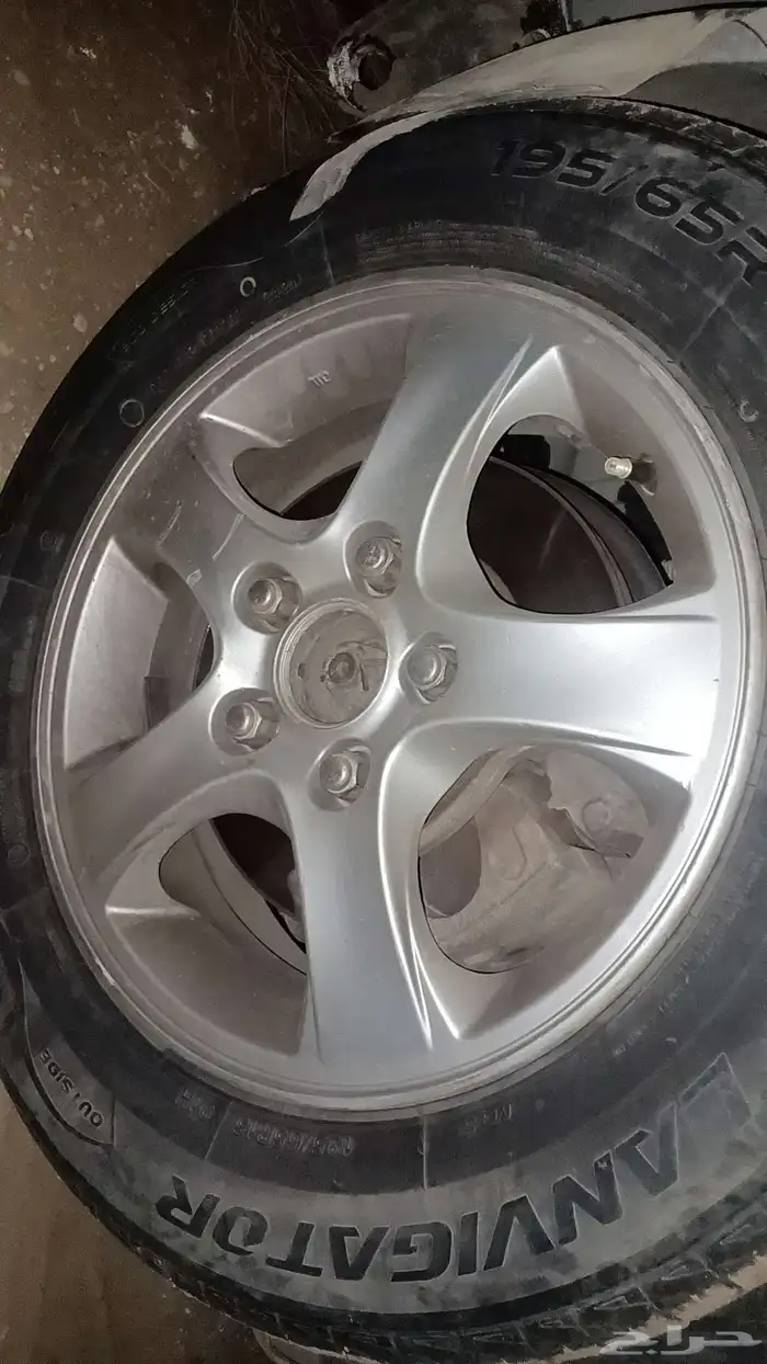 جنوط النترا للبيع 1