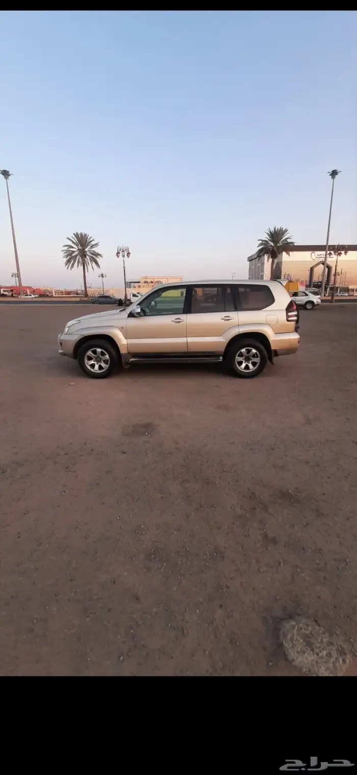 برادوا خليجي 14