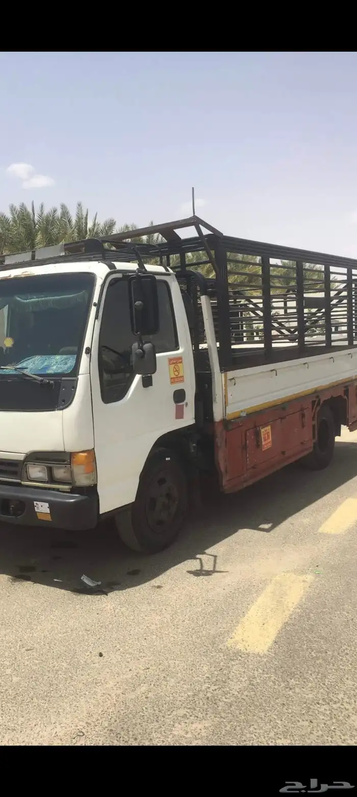 دينا اسيوزا 0