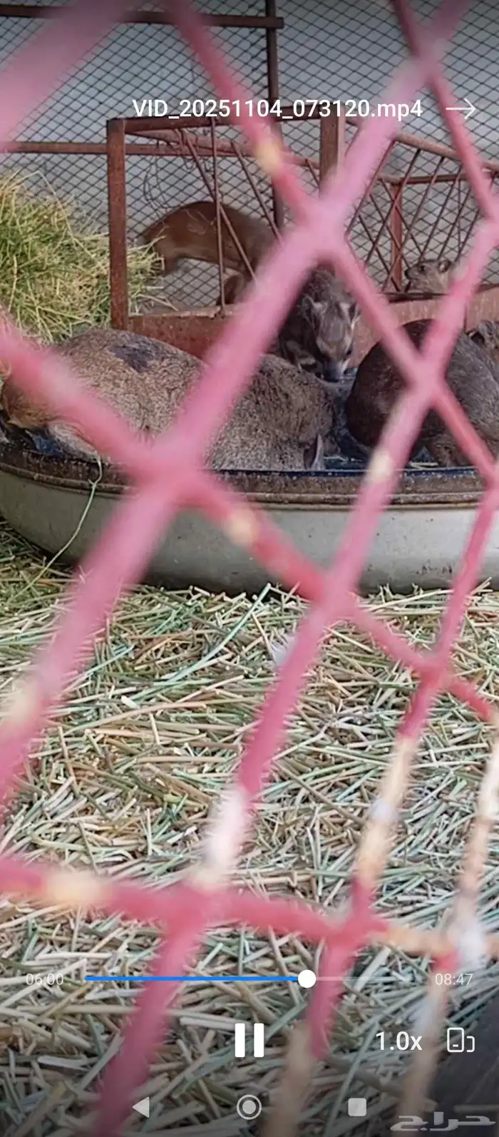 محمية وب ر 2