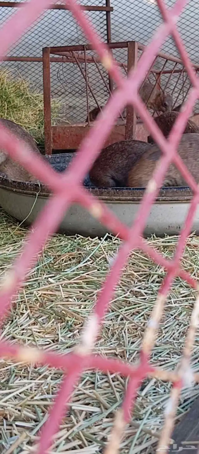 محمية وب ر 3