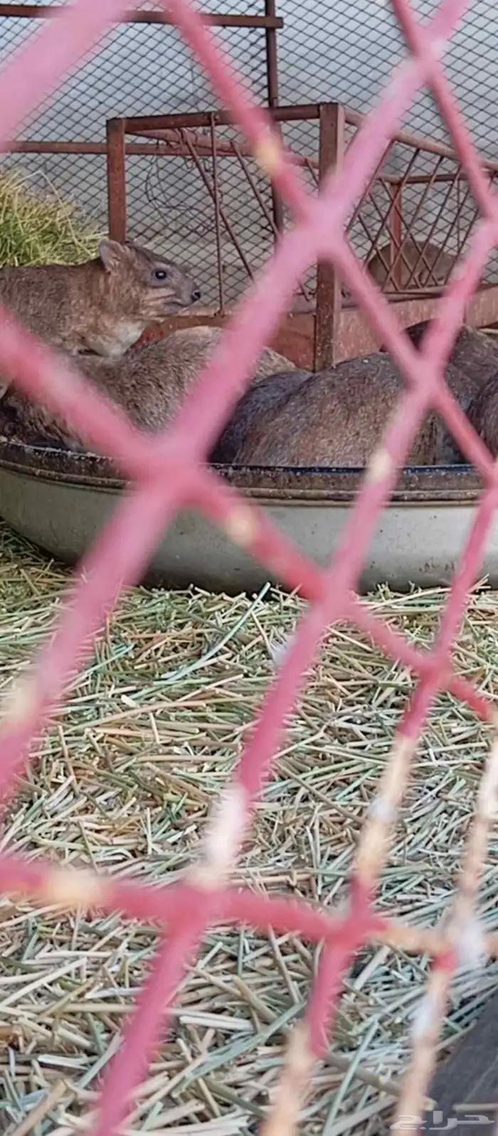 محمية وب ر 0