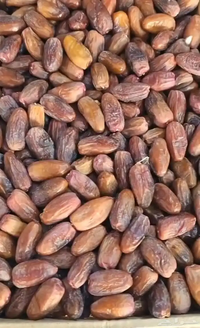 بيعه سريعه دقلة نور   سعر منافس 0