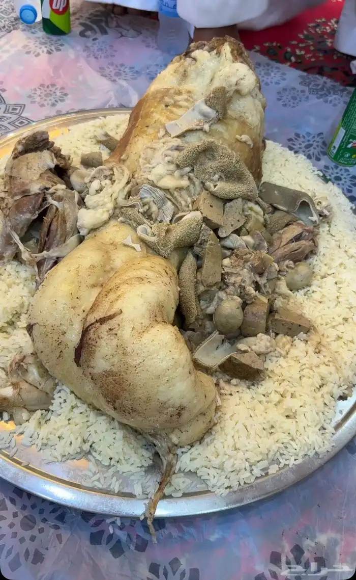 ذبائح بلدي للمناسبات والافراح تربية مو حلال والدي نظيفة 13