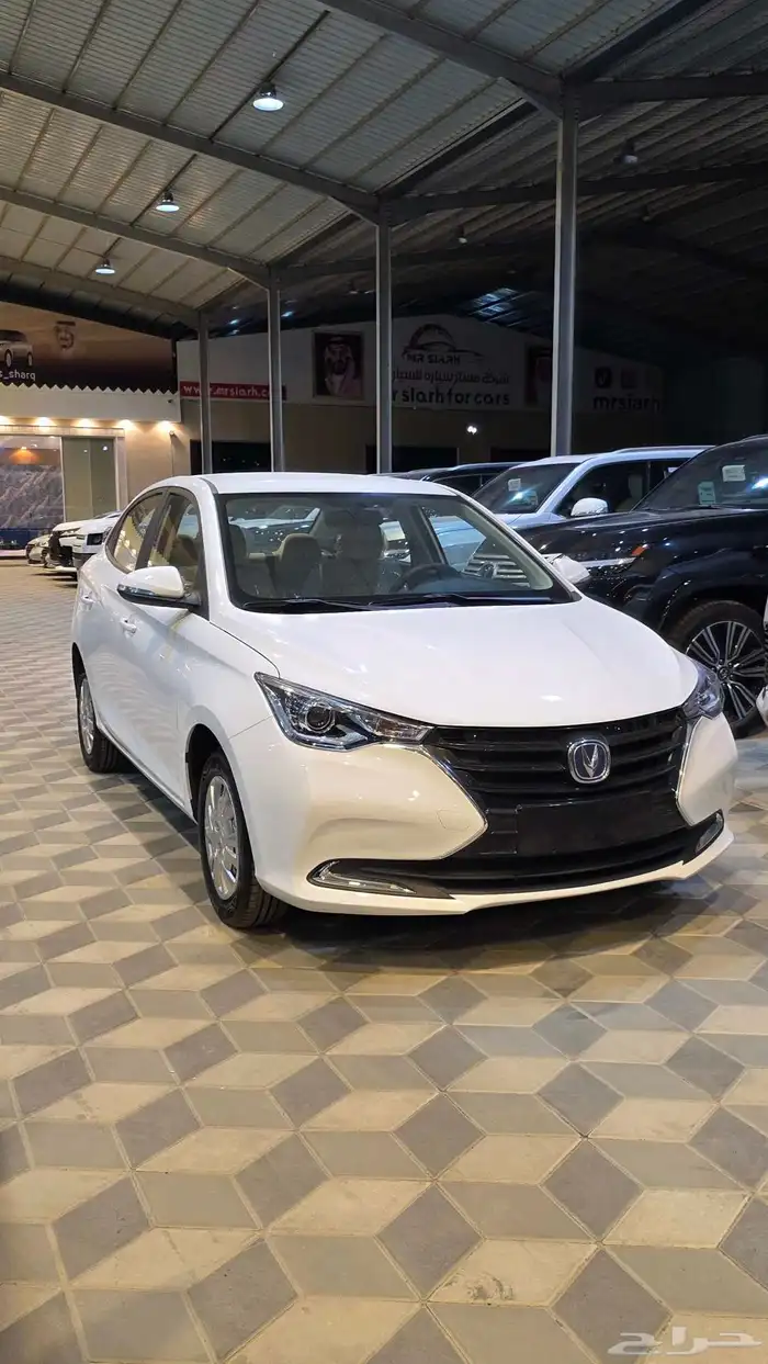 شنجان ال سفن استاندر 2026 1