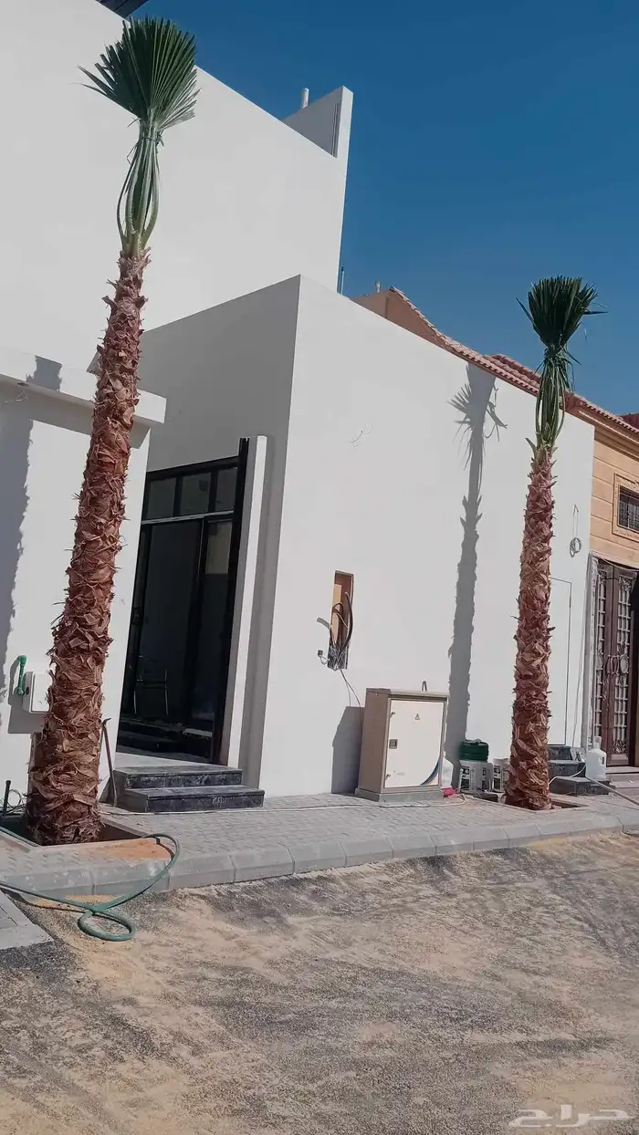 نخل واشنطنيا زينه وملوكي وجوز الهند 3