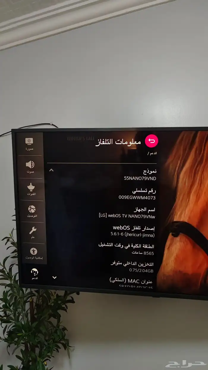 شاشة LG ريموت ماجيك ماوس 4K 55 صوت قوي جدا 3