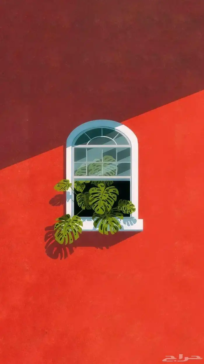 مطلوب سيارة مستعملة غير اتوماتيك علي دفعات حتي لو تبقي صيانة 0