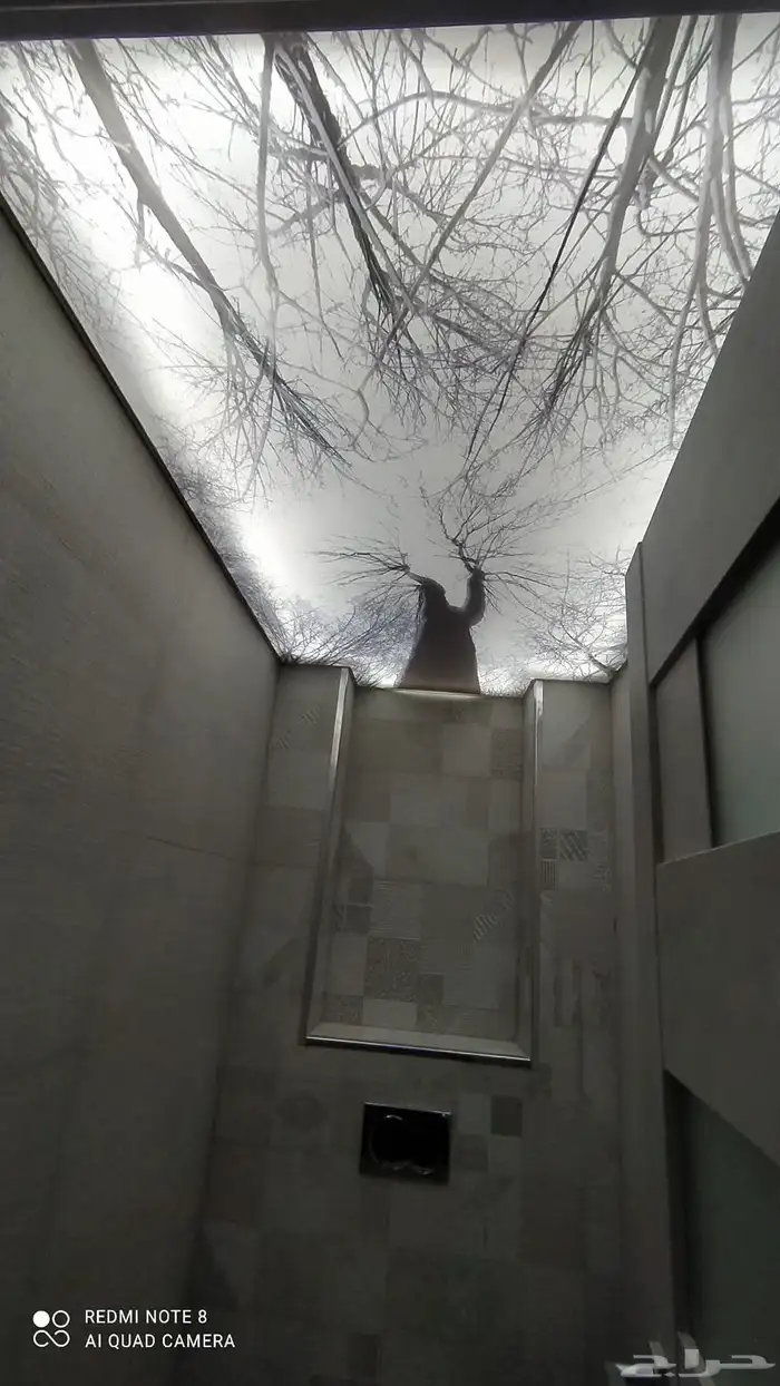 اسقف بتصاميم خيال 8