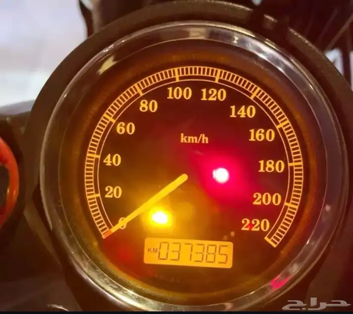 هارلي داينا ستريت بوب 6