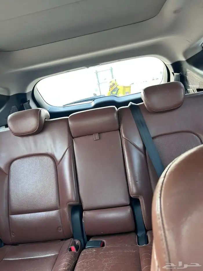 سنتافي 2013 10