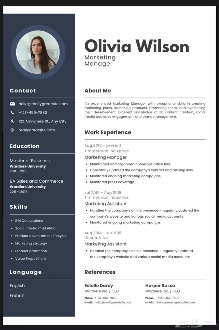 تصميم سيرة ذاتيه احترافيه 12