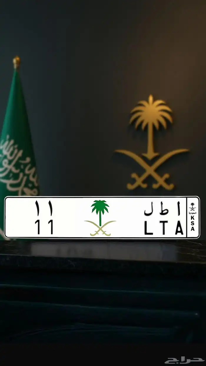 لوحة مميزه رقم 11 0