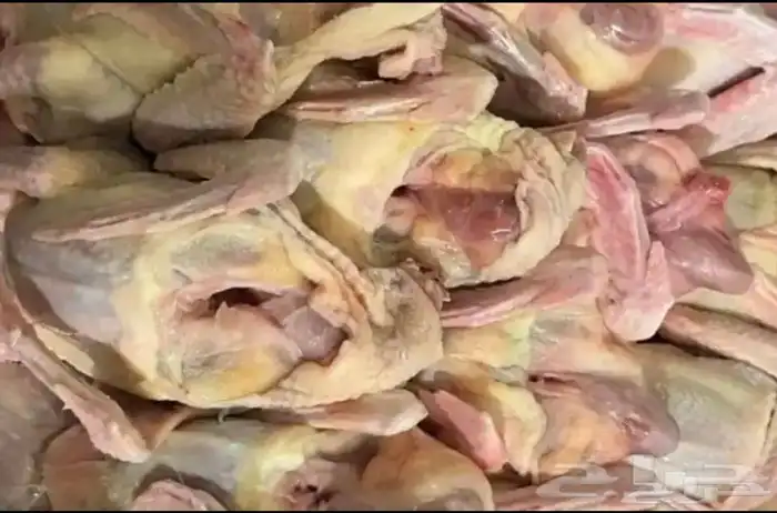 زغاليل حمام فرنسي جامبو 0