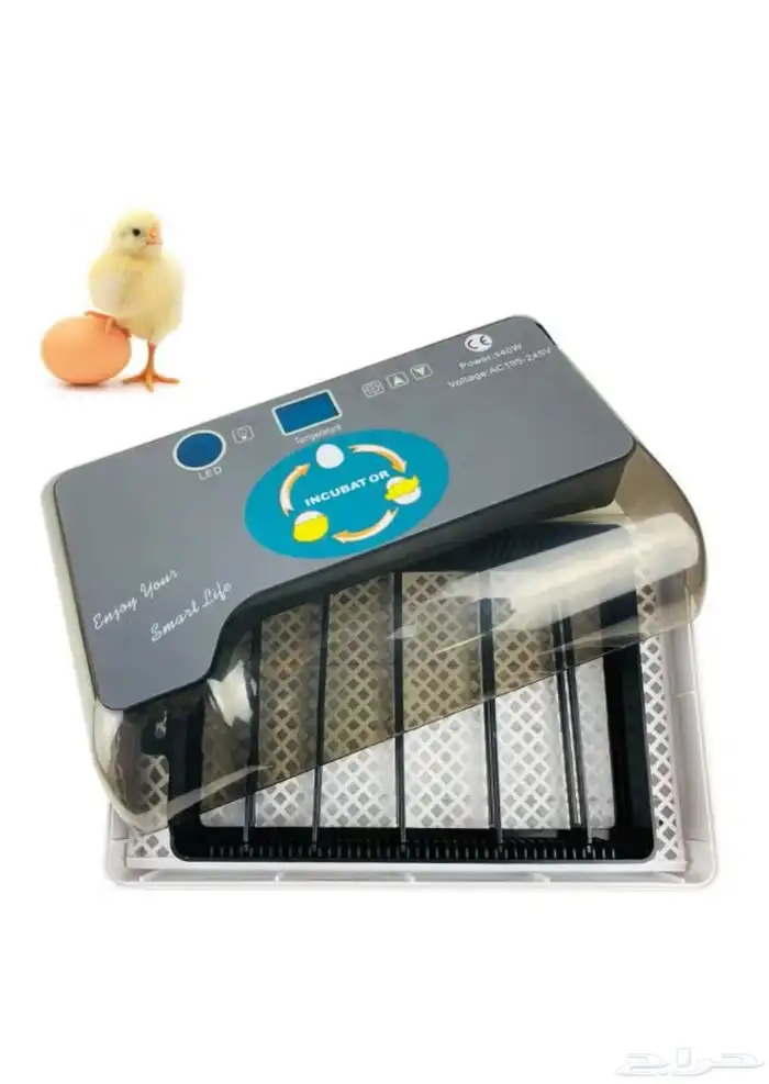 فقاسة للبيع 3