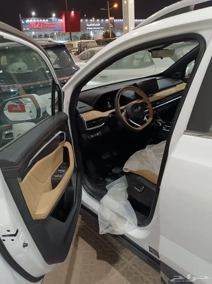 جيلي اوكافانجو 2025 1