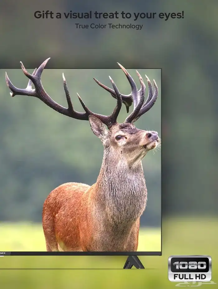 للبيع تلفزيون سمارت جديد 43 بوصة 2