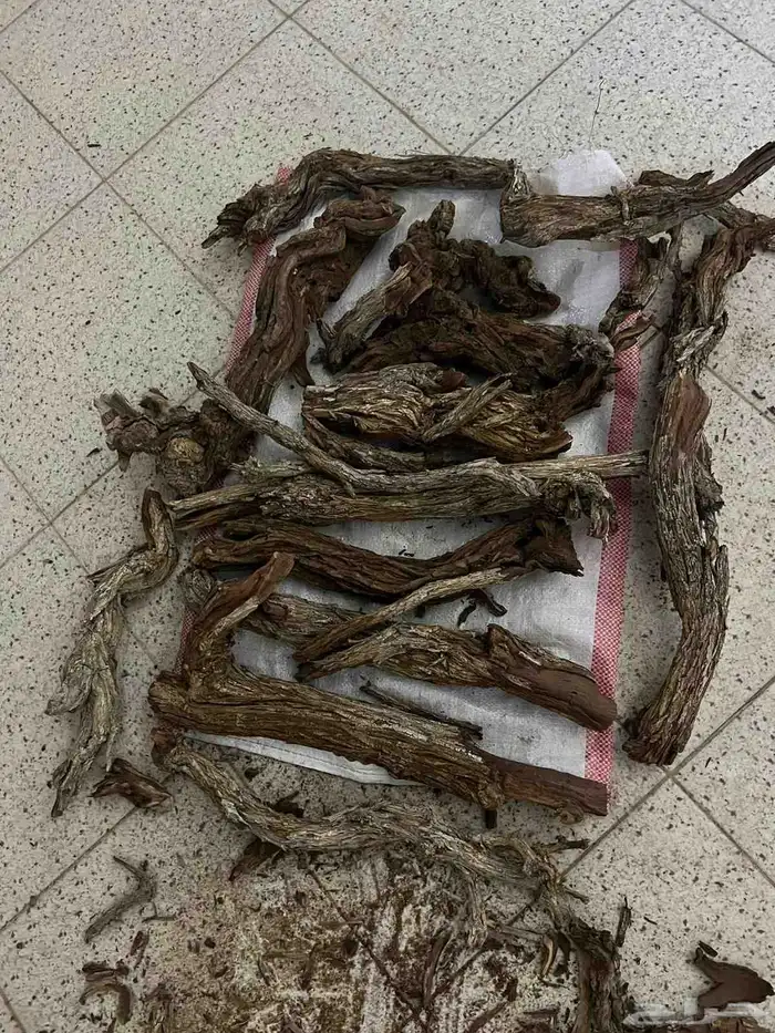 دفيه شتويه 1