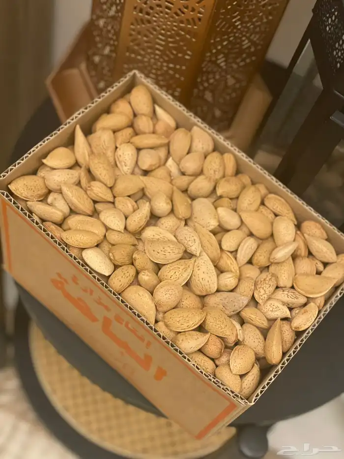 لوز الباحة البلدي 1