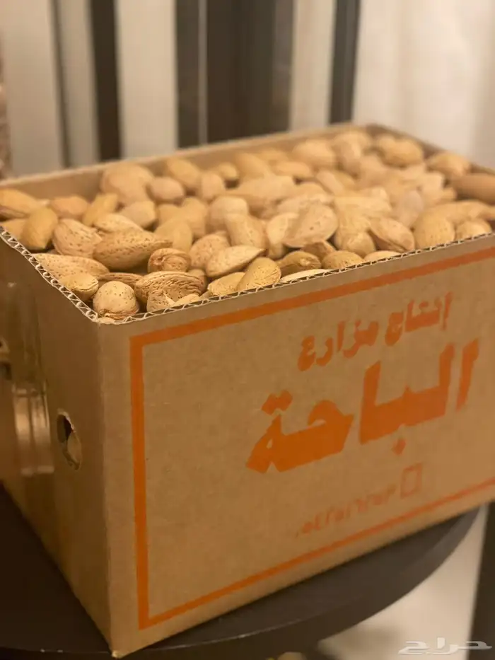 لوز الباحة البلدي 2