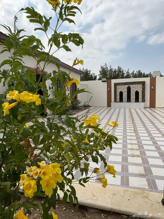 استراحة للإيجار 4