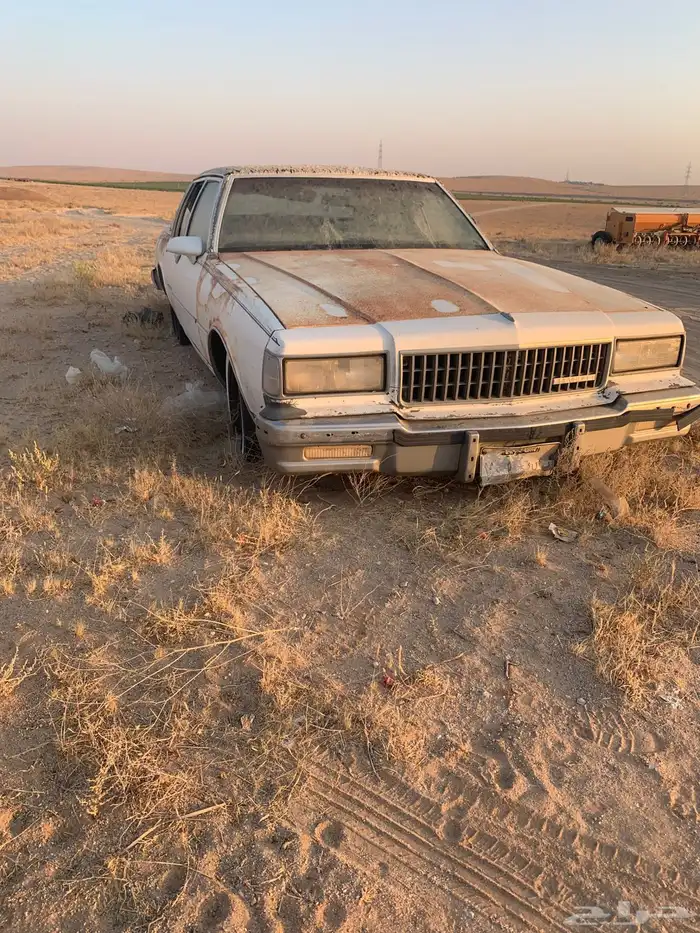 للبيع كابرس 0