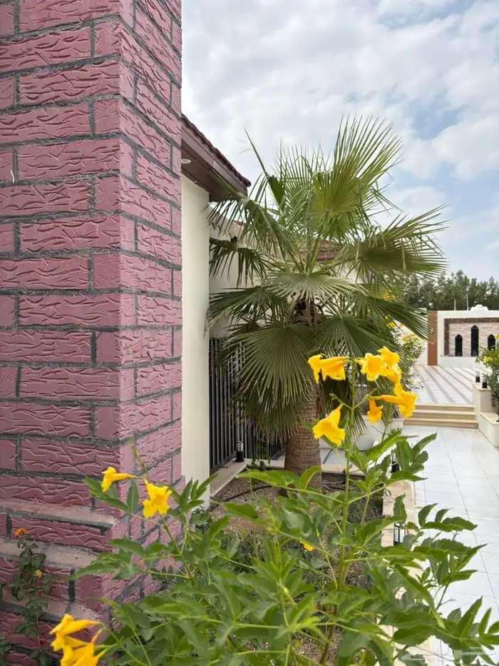 استراحة للإيجار 9