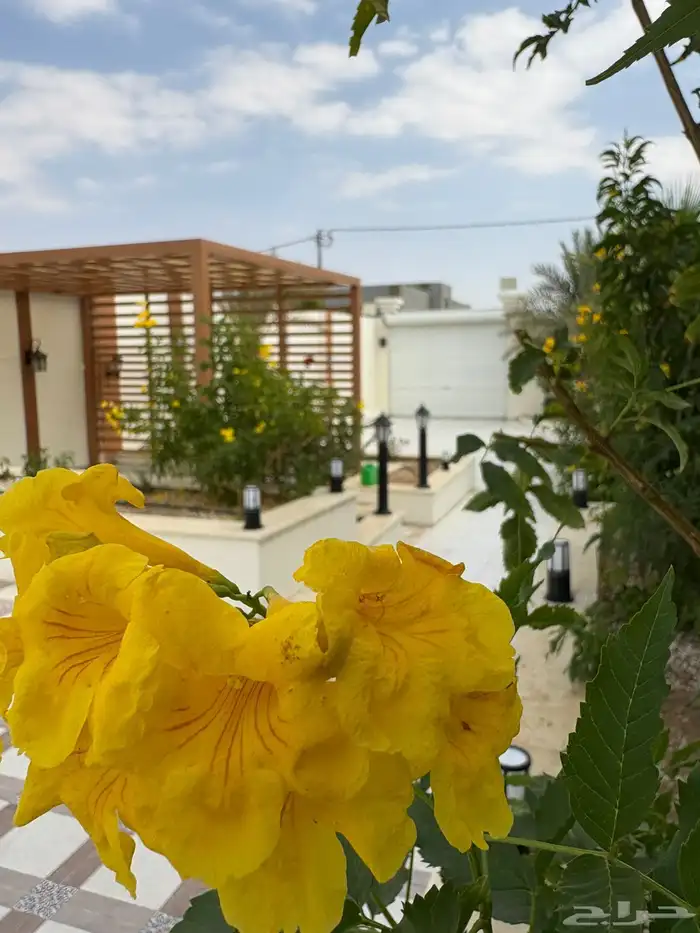 استراحة للإيجار 8