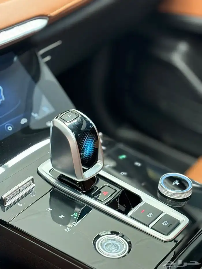 تشيري تيجو 8 بروماكس -2023 17