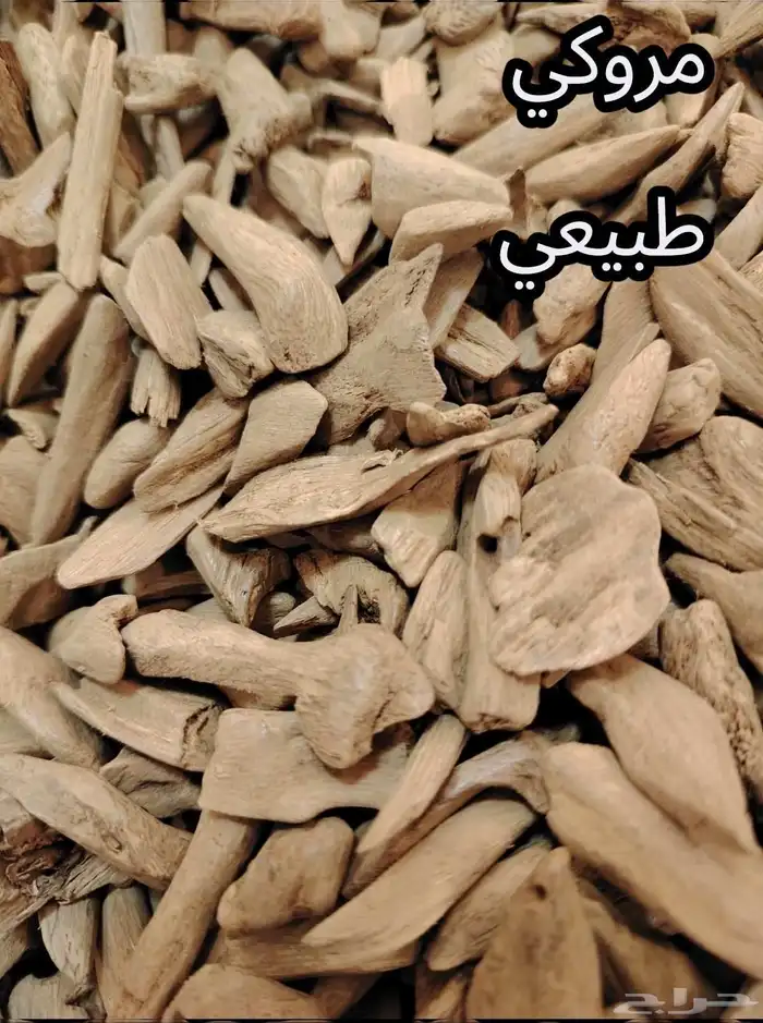 عود مروكي طبيعي 1