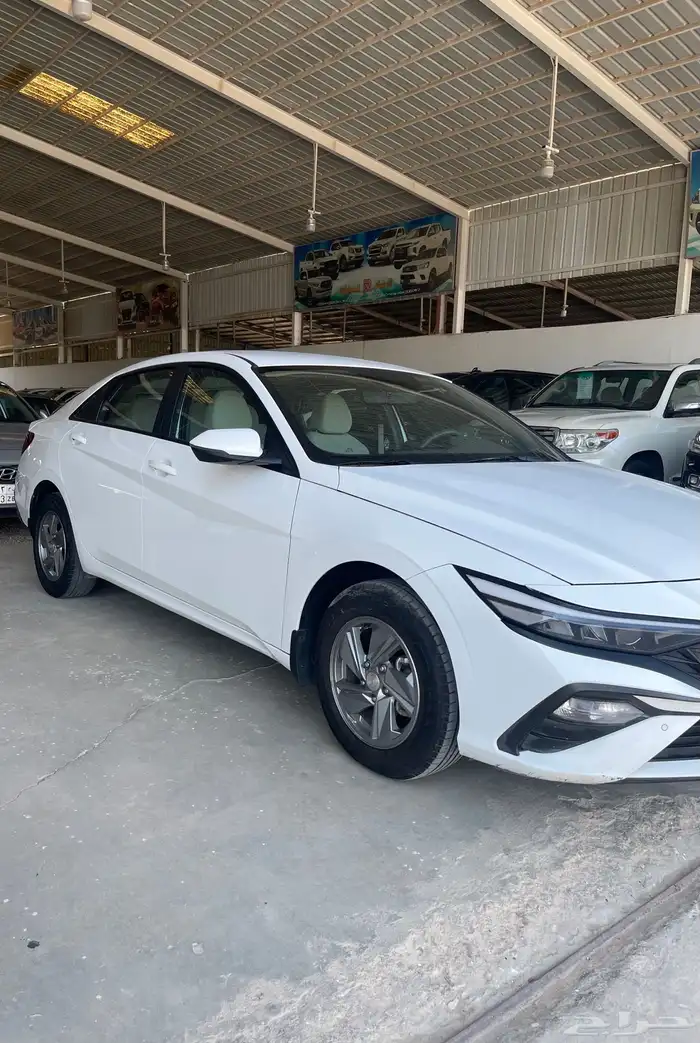 للبيع النترا 2024 1