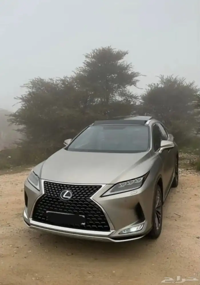لكزس RX450 h 2020 3