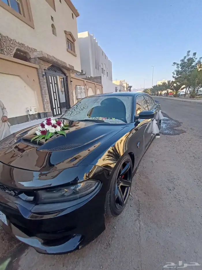 تشريع و تزيين سيارات العرسان في الموقع 3