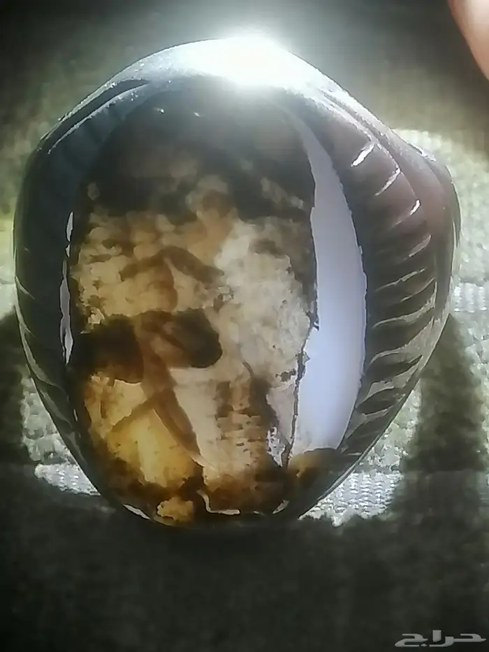 نوادر العقيق المصور اليماني 3