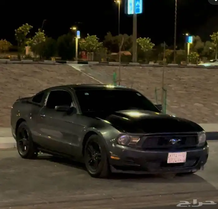 موستنج 2011 9