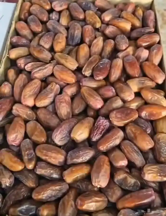 بيعه سريعه دقلة نور   سعر منافس 1