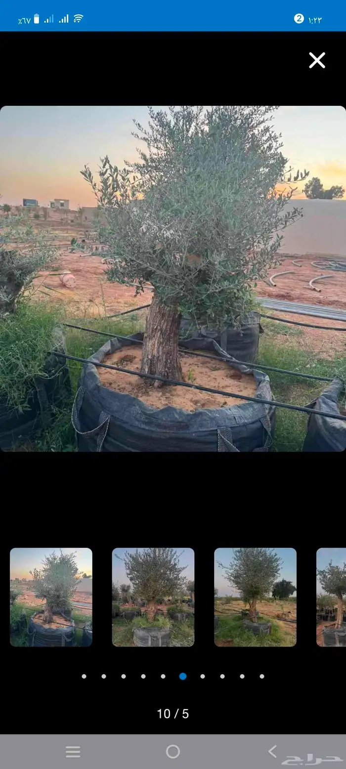 يرجاالتواصل واتساب 3