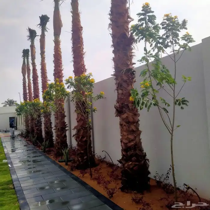 مشتل تنسيق حدائق 9