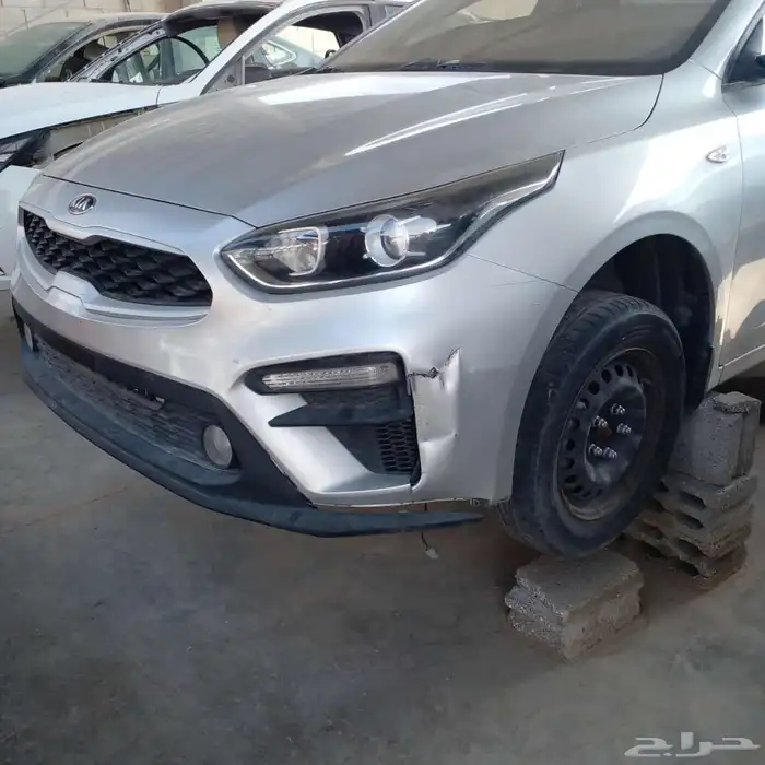 مندوب تشليح 1