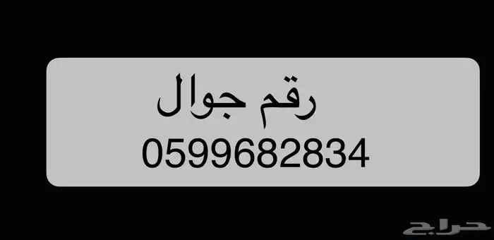 كاميرات معدات ثقيلة بواس PWAS system 1