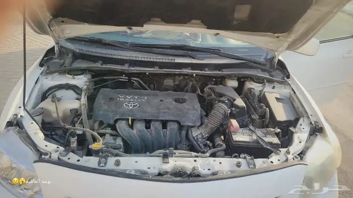 كورولا البيع منوت المستخدم 5