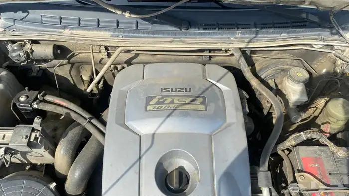 ديمكس ايسوزو 11