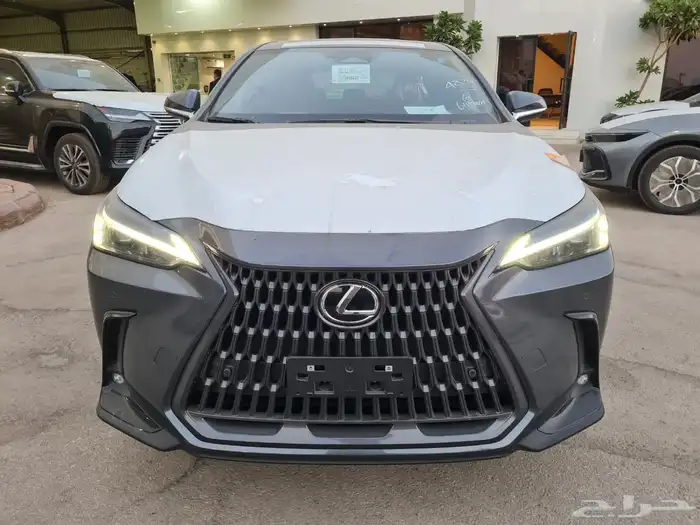 ليكزس NX350 AA 2026 6