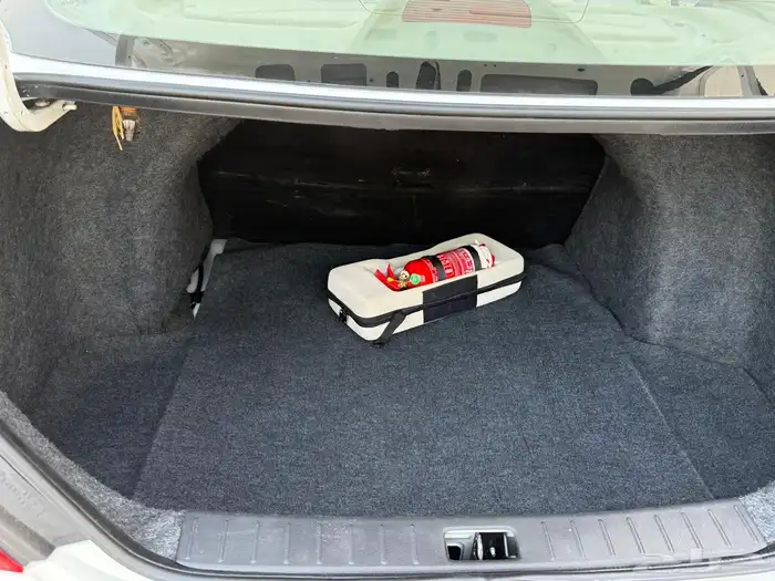 نيسان صني 2020 17