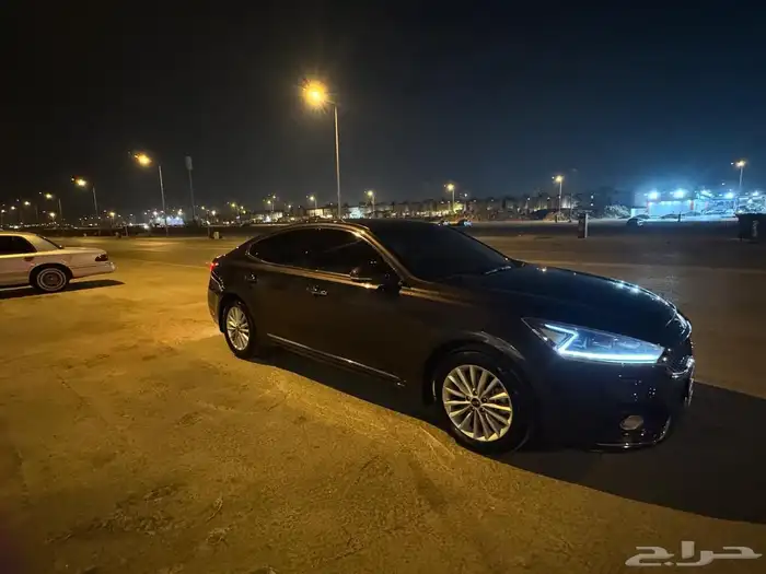 كادينزا 2019 14