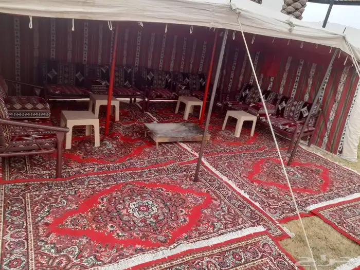 مخيمات بر ومكشات بس عليك حدد المكان وازهل الباقي علينا كل شي 5