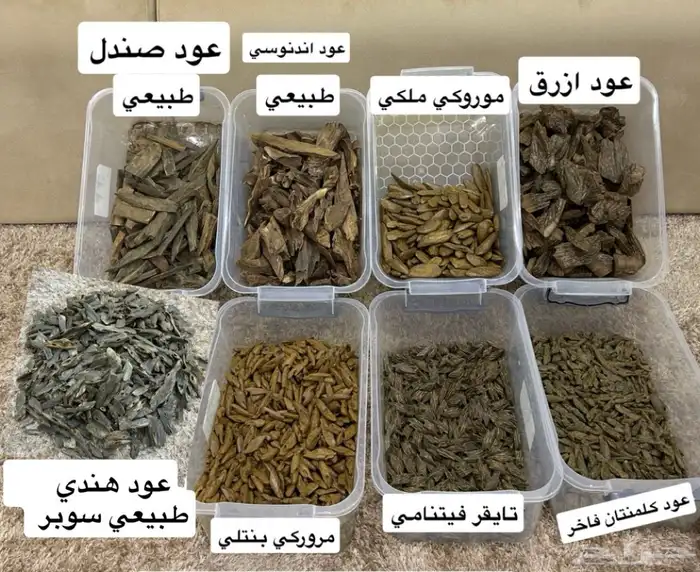 تصفية بضاعة محل عود كامله 2