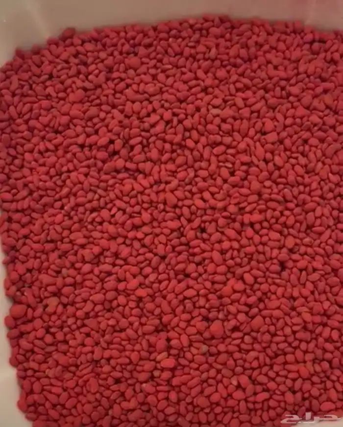 مدينة تبوك 3